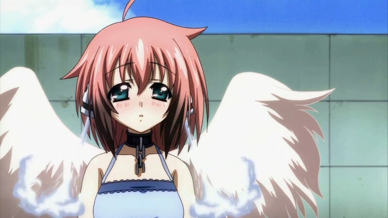 anime girl with angel wings
