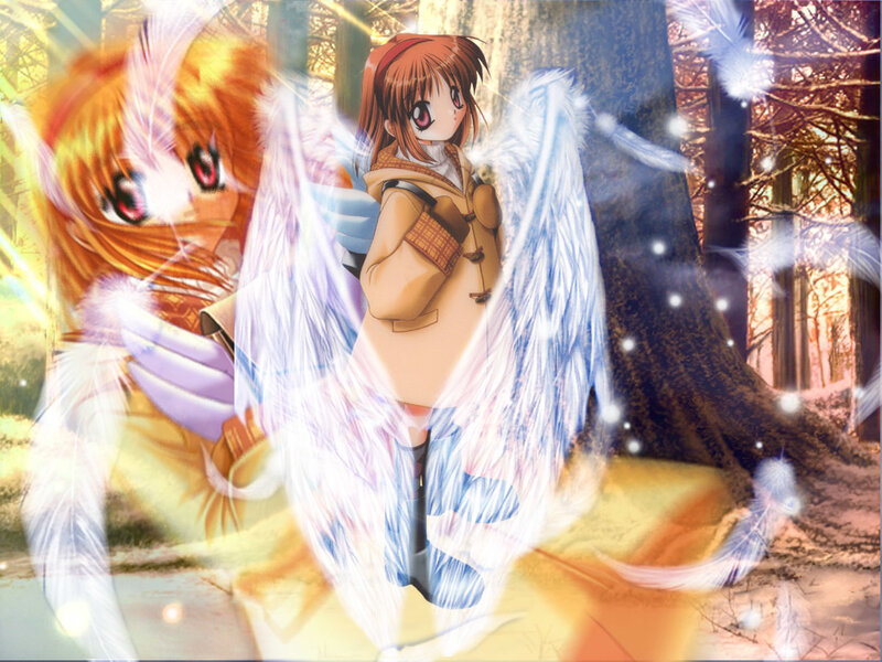 Anime Girl with Angel Wings — White, Magical