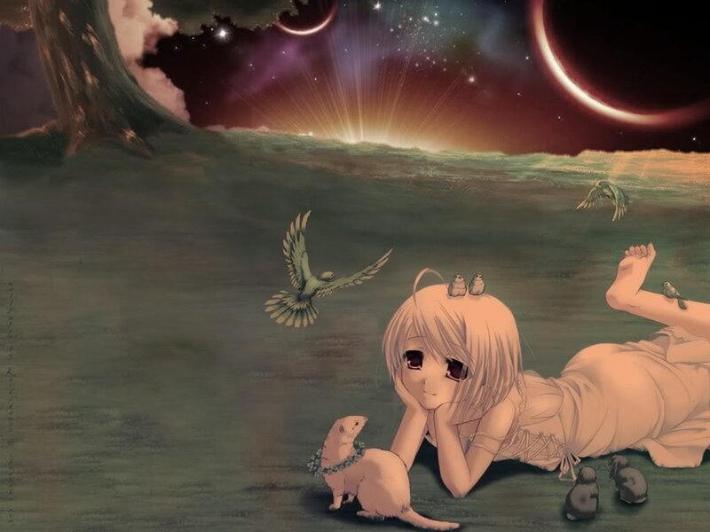 Anime girl with animals at sunset