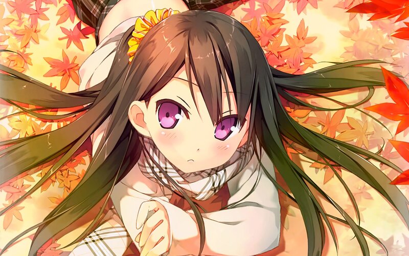 anime girl with autumn leaves
