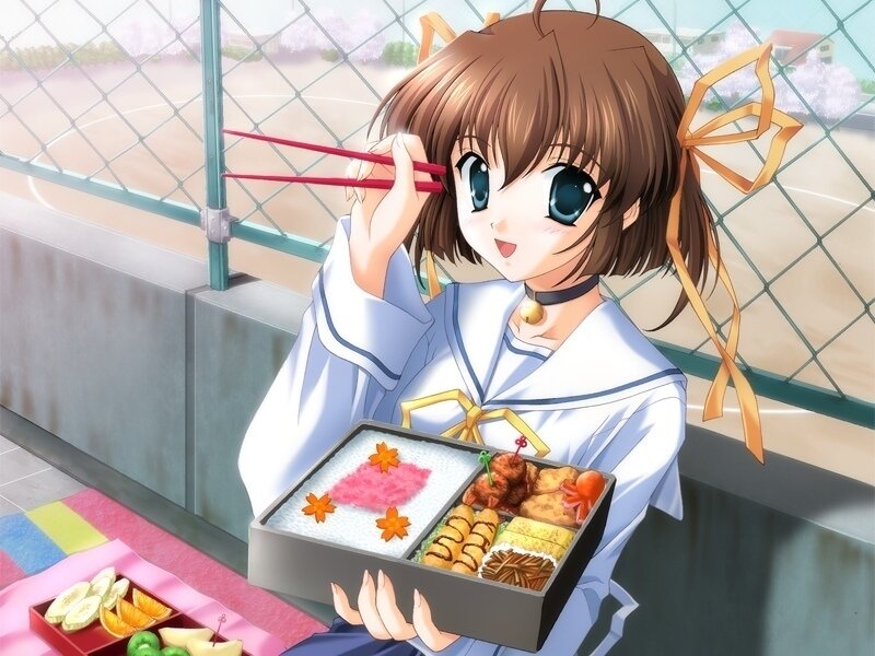 Anime girl with bento box