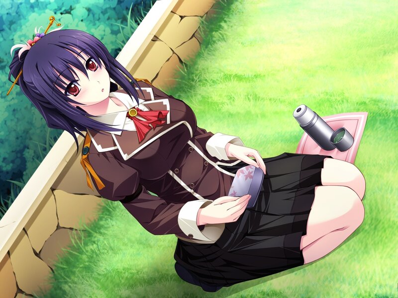 anime girl with bento box