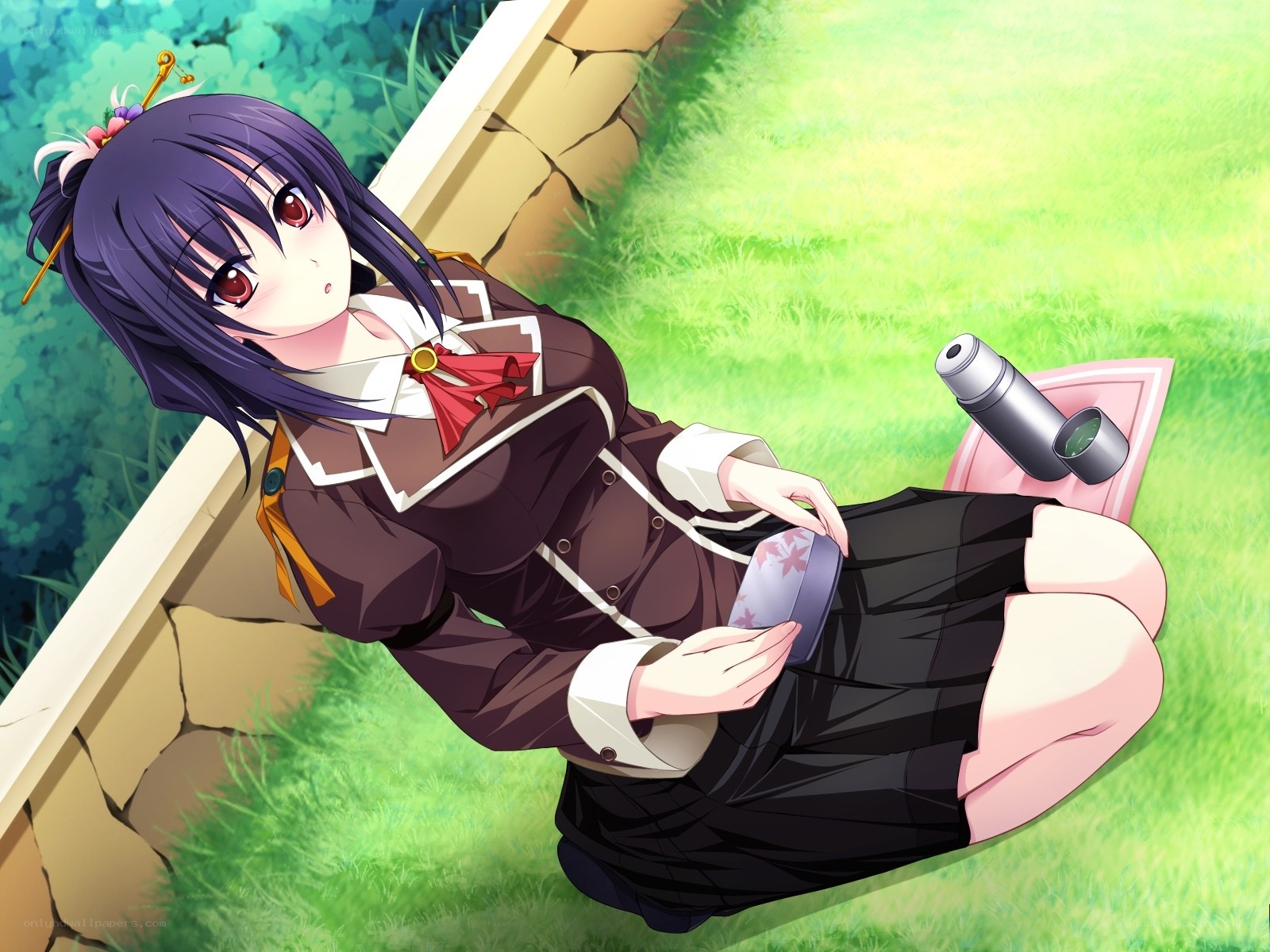 anime girl with bento box