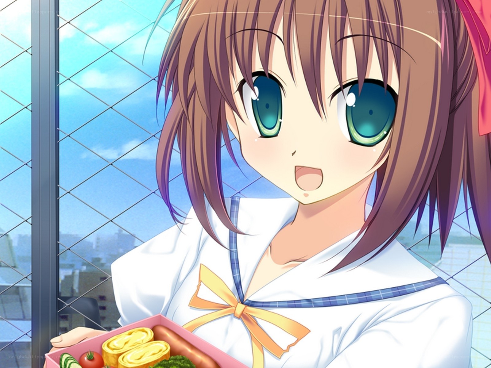 anime girl with bento box