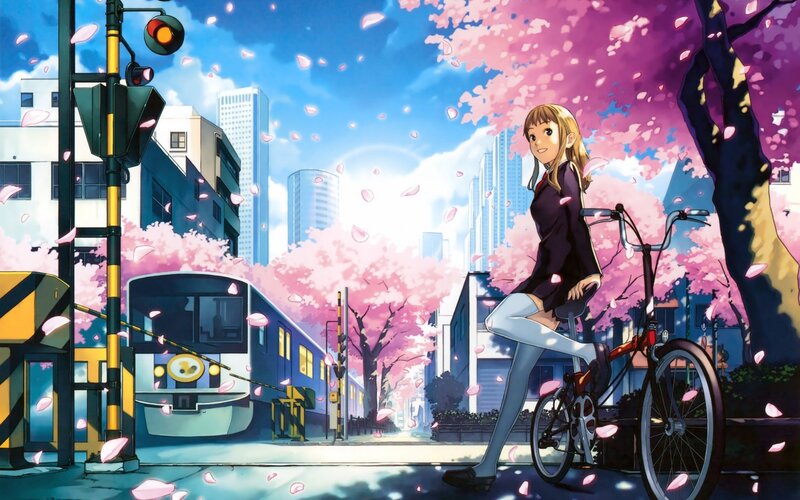 Anime girl with bicycle in cherry blossom