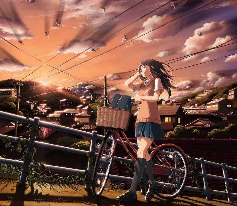Anime Girl with Bicycle — Orange, Serene, Sunset
