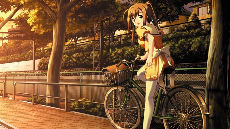 Anime Girl with Bicycle — Orange, Serene, Sunset, Tree