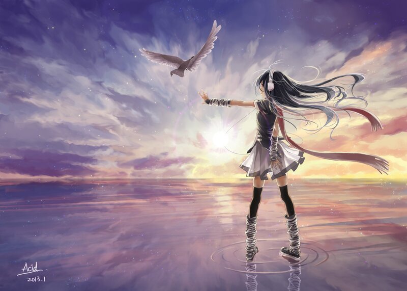 Anime girl with bird at sunset