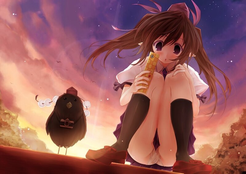 Anime girl with bird at sunset