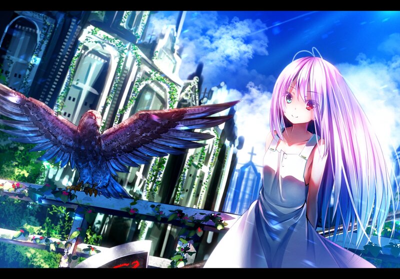 Anime Girl with Bird — Blue, Serene, Night, Digital Art
