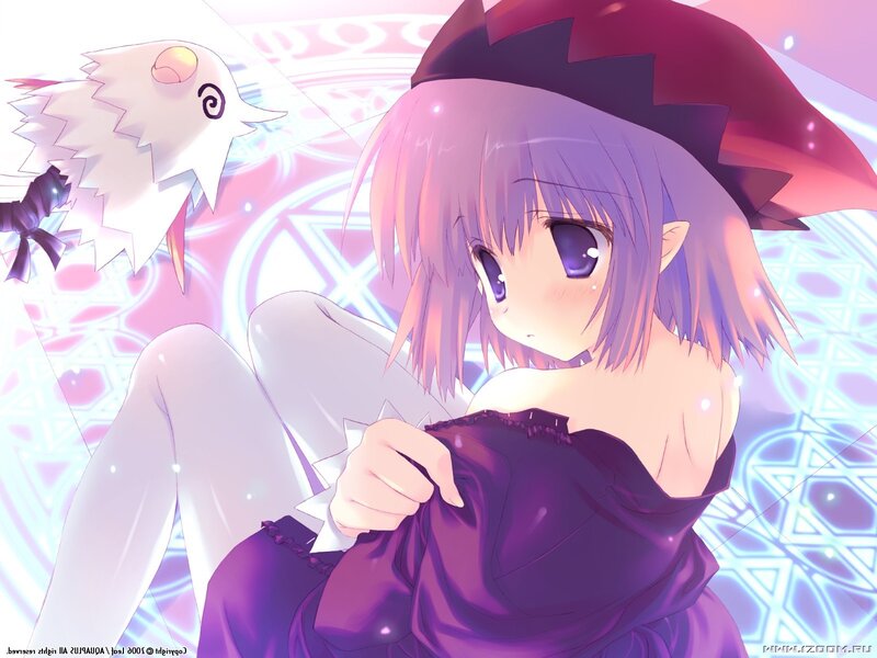 anime girl with bird companion
