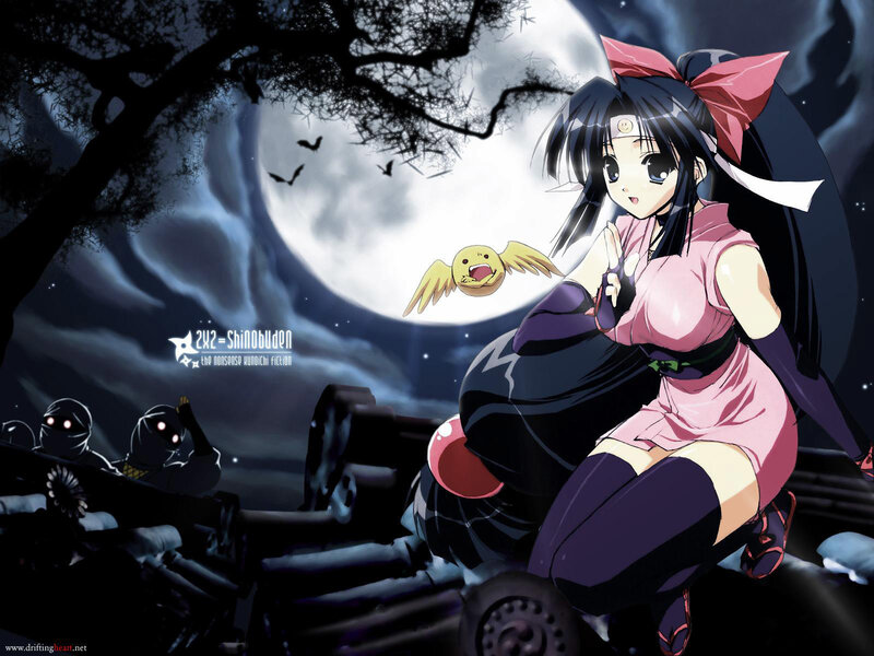 Anime girl with bird in moonlight