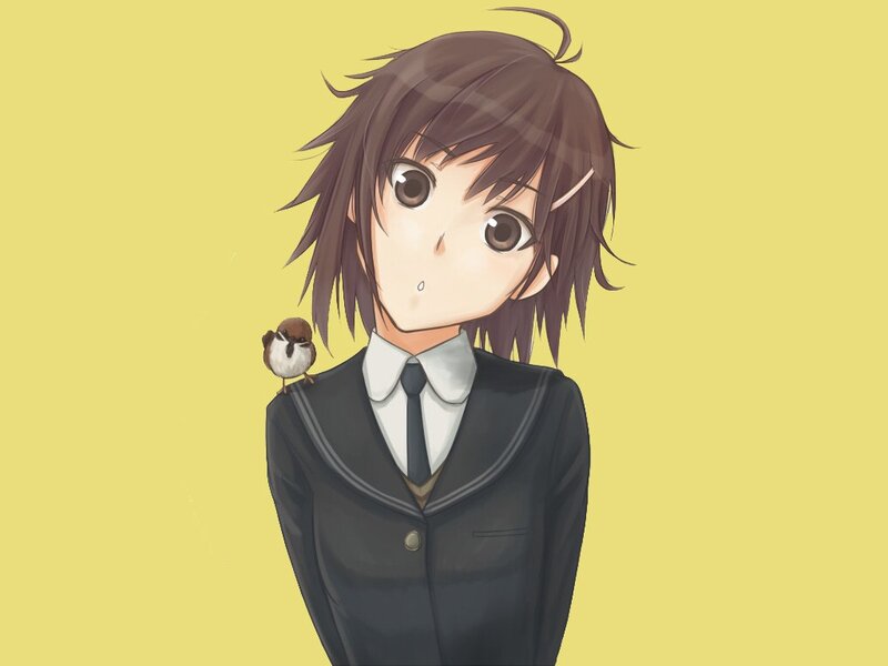 anime girl with bird on shoulder