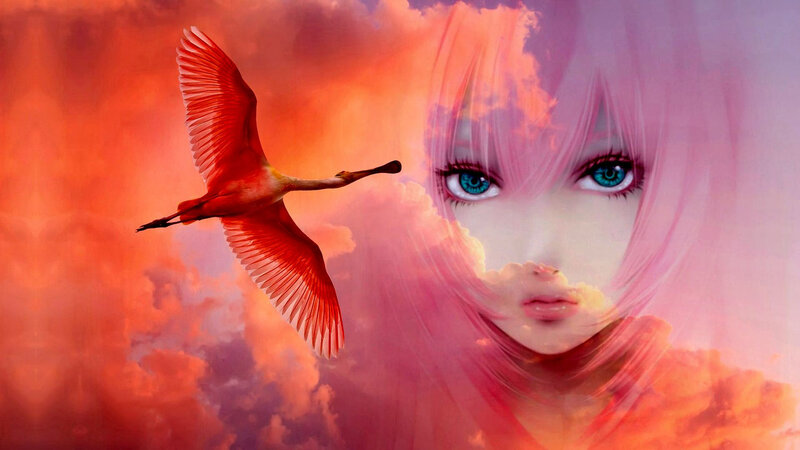 Anime Girl with Bird — Pink, Dramatic