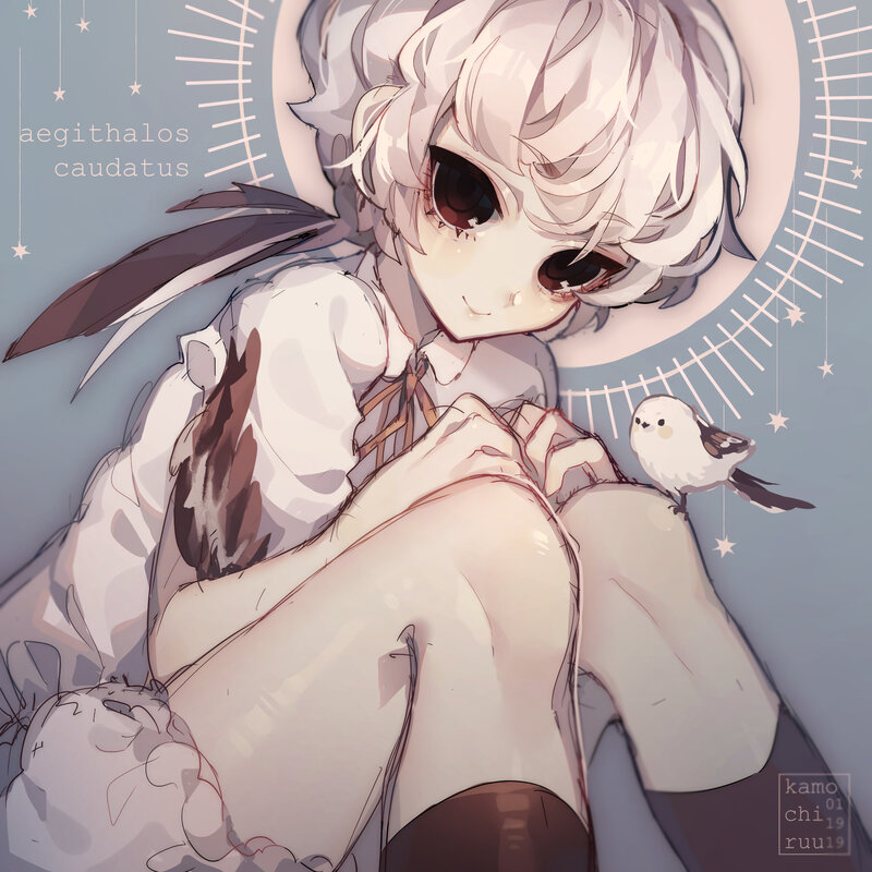 Anime Girl with Bird — White, Serene, Night