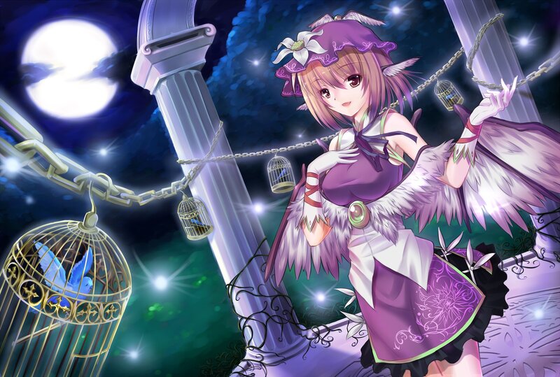 Anime girl with birdcages at night