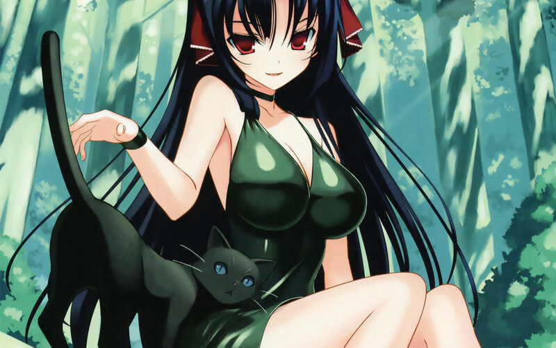 anime girl with black cat