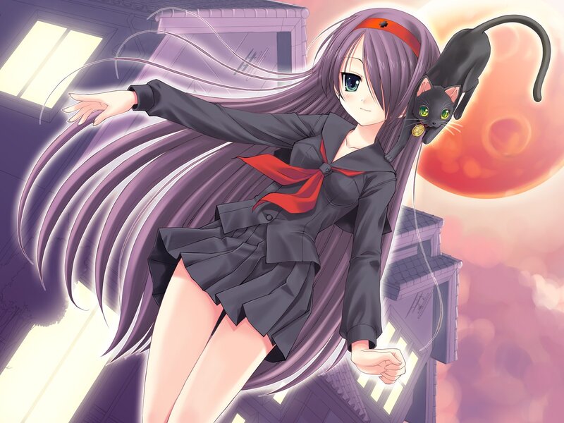 anime girl with black cat