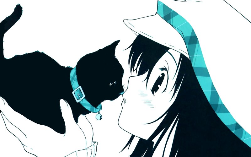 anime girl with black cat