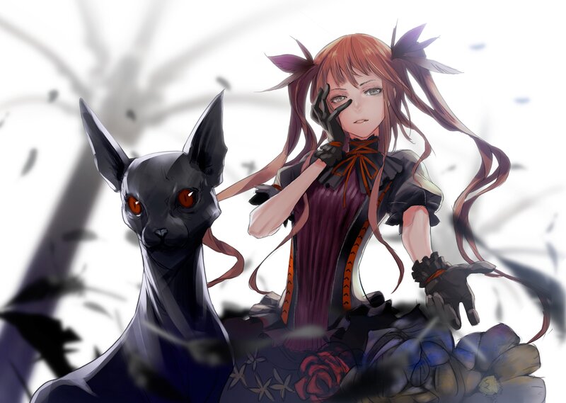 Anime Girl with Black Cat — Dramatic, Digital Art