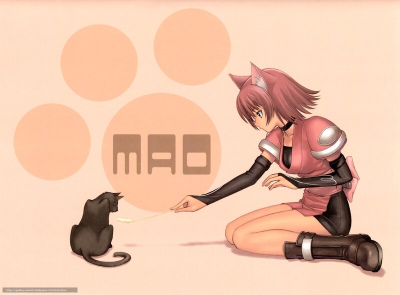 Anime Girl with Black Cat — Pink