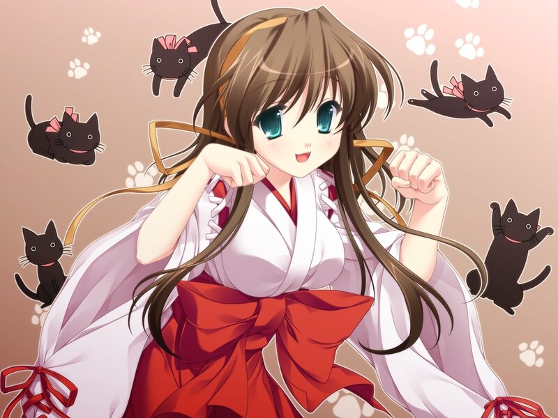 anime girl with black cats