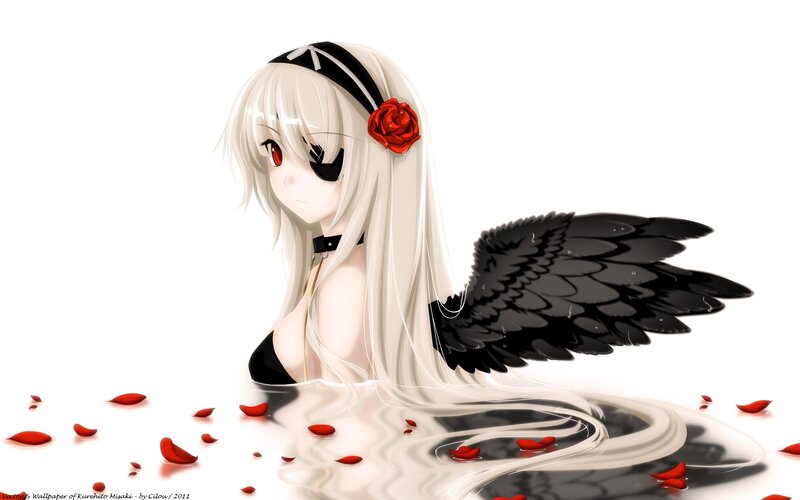Anime girl with black wings