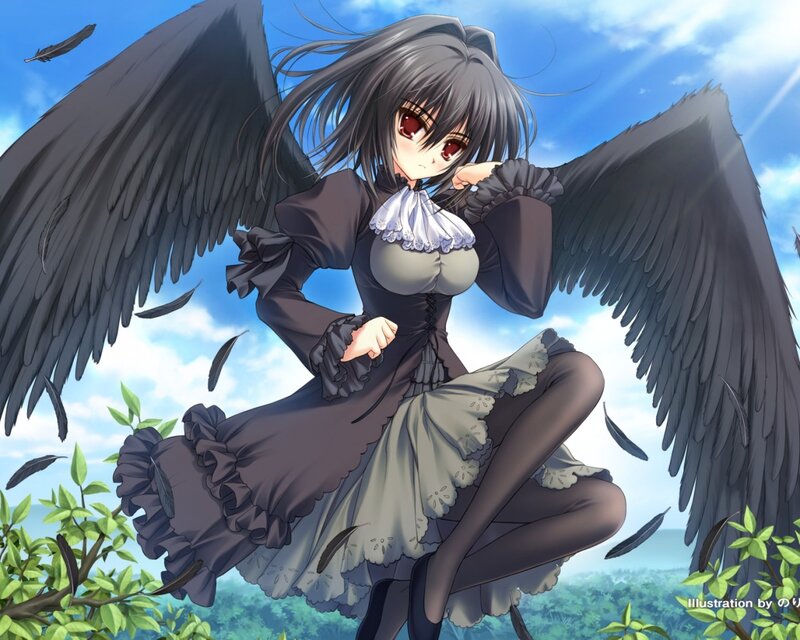 anime girl with black wings