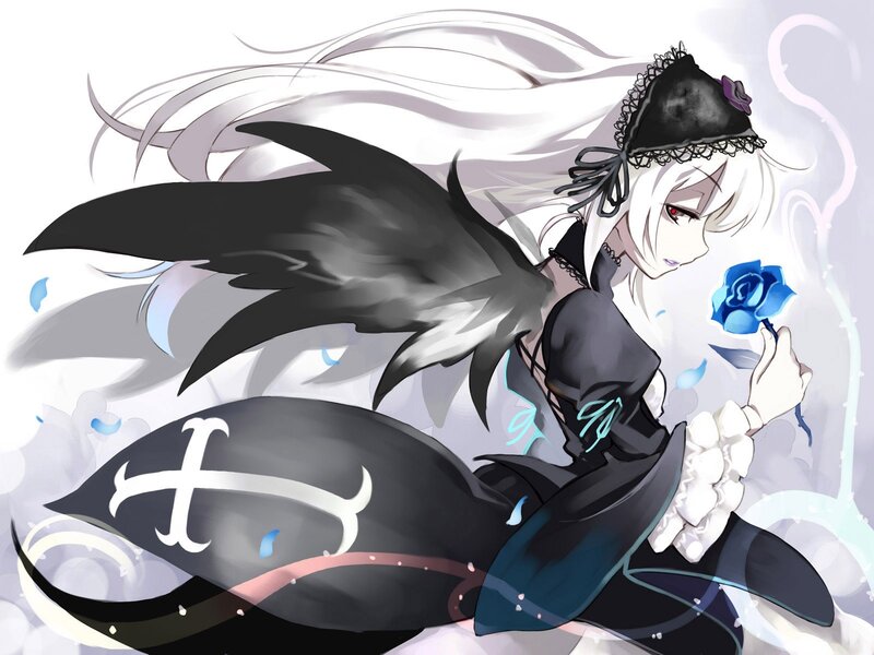 anime girl with black wings