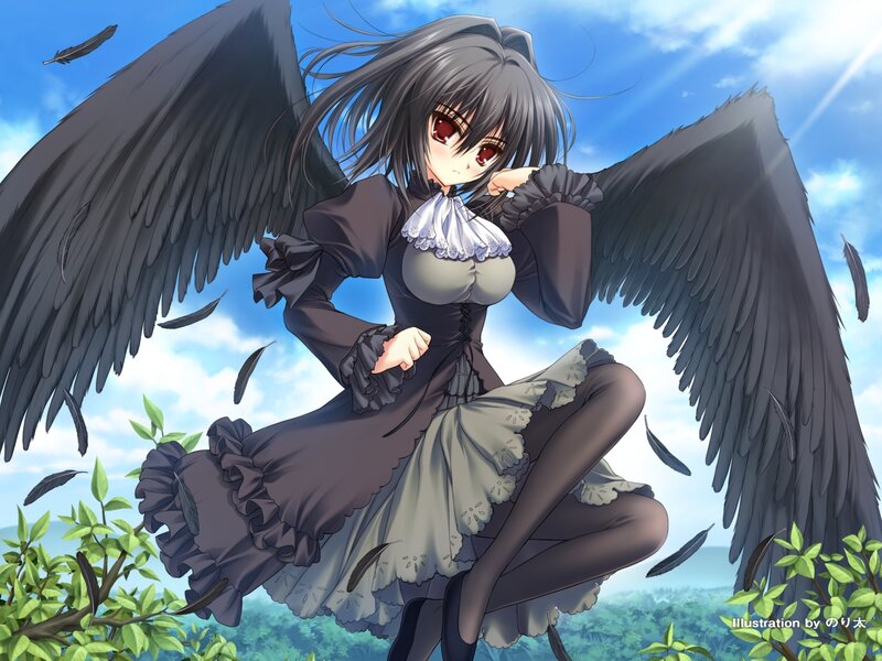 Anime girl with black wings