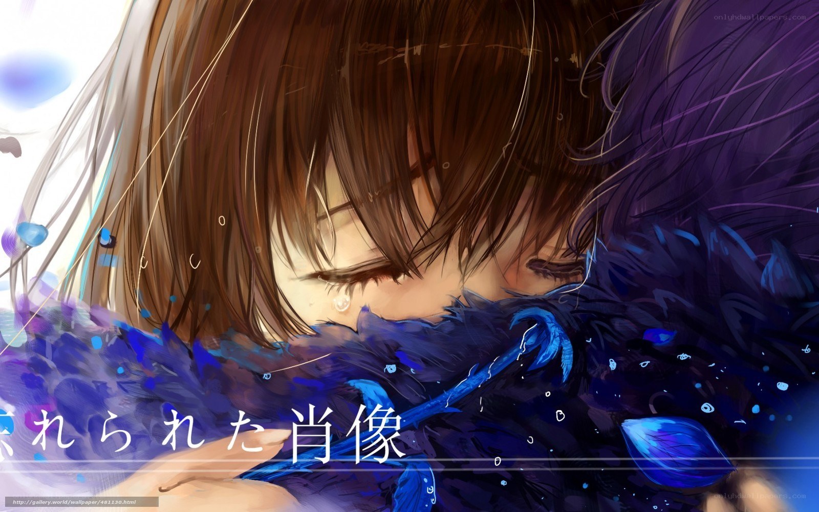 anime girl with blue feathers