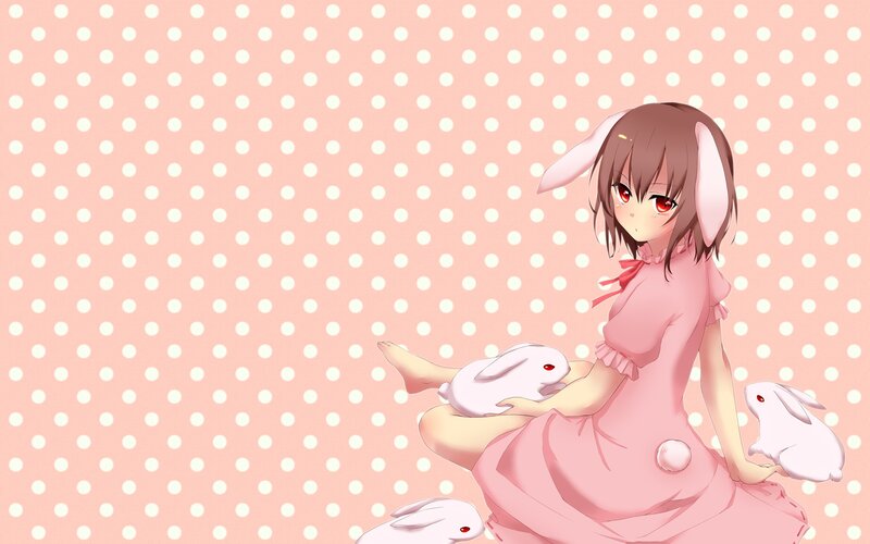 anime girl with bunnies