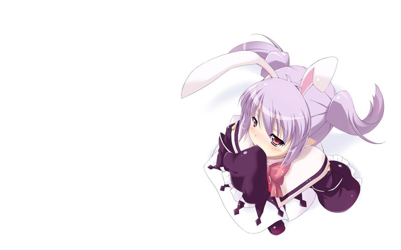 anime girl with bunny ears