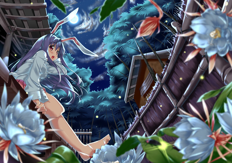 Anime girl with bunny ears at night