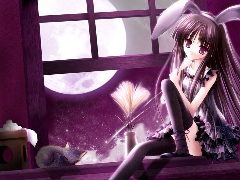 Anime girl with bunny ears at night