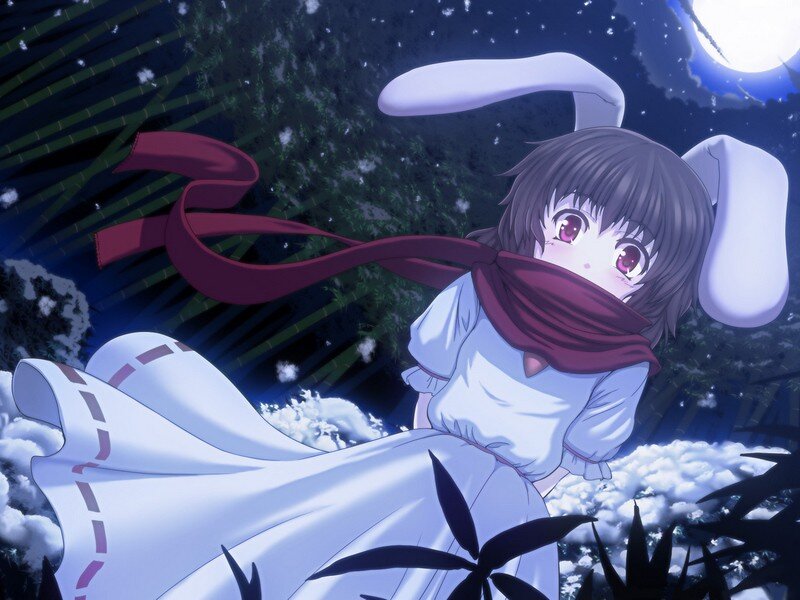 anime girl with bunny ears in snow