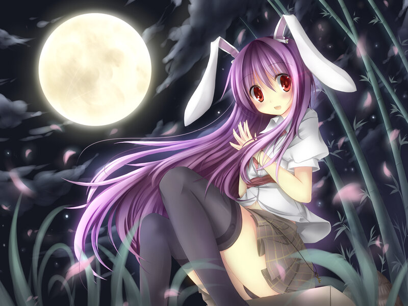 Anime girl with bunny ears under moon