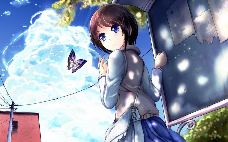 Anime girl with butterfly