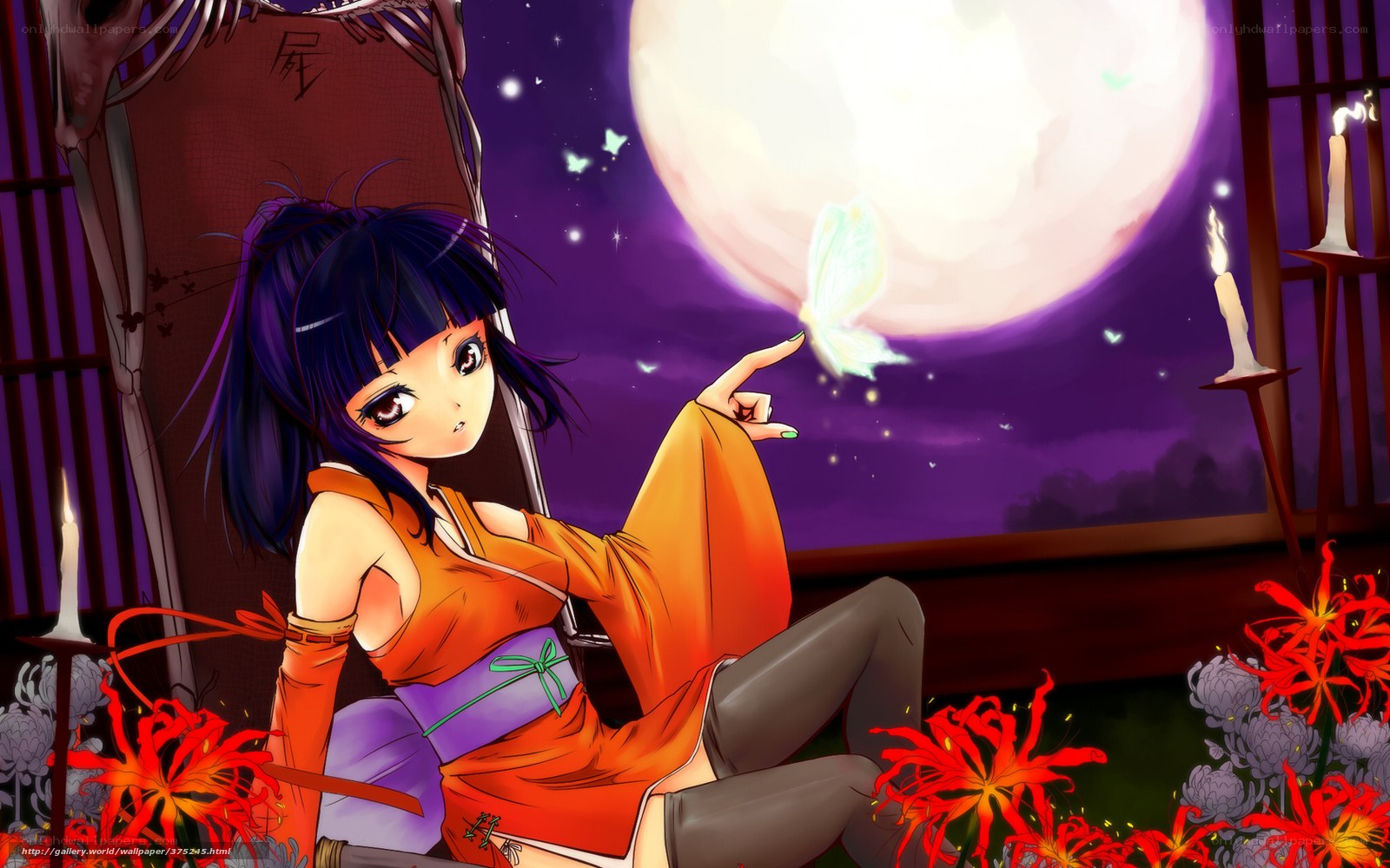 Anime girl with butterfly at night