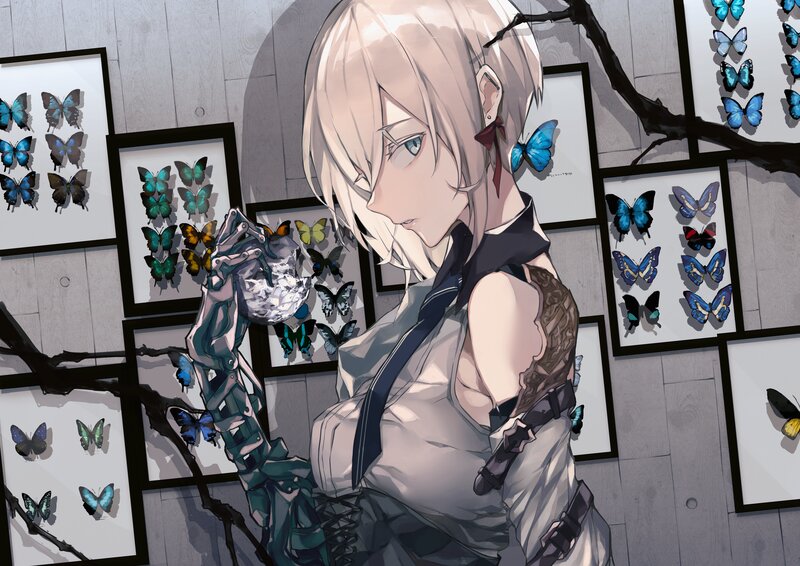 Anime Girl with Butterfly Collection