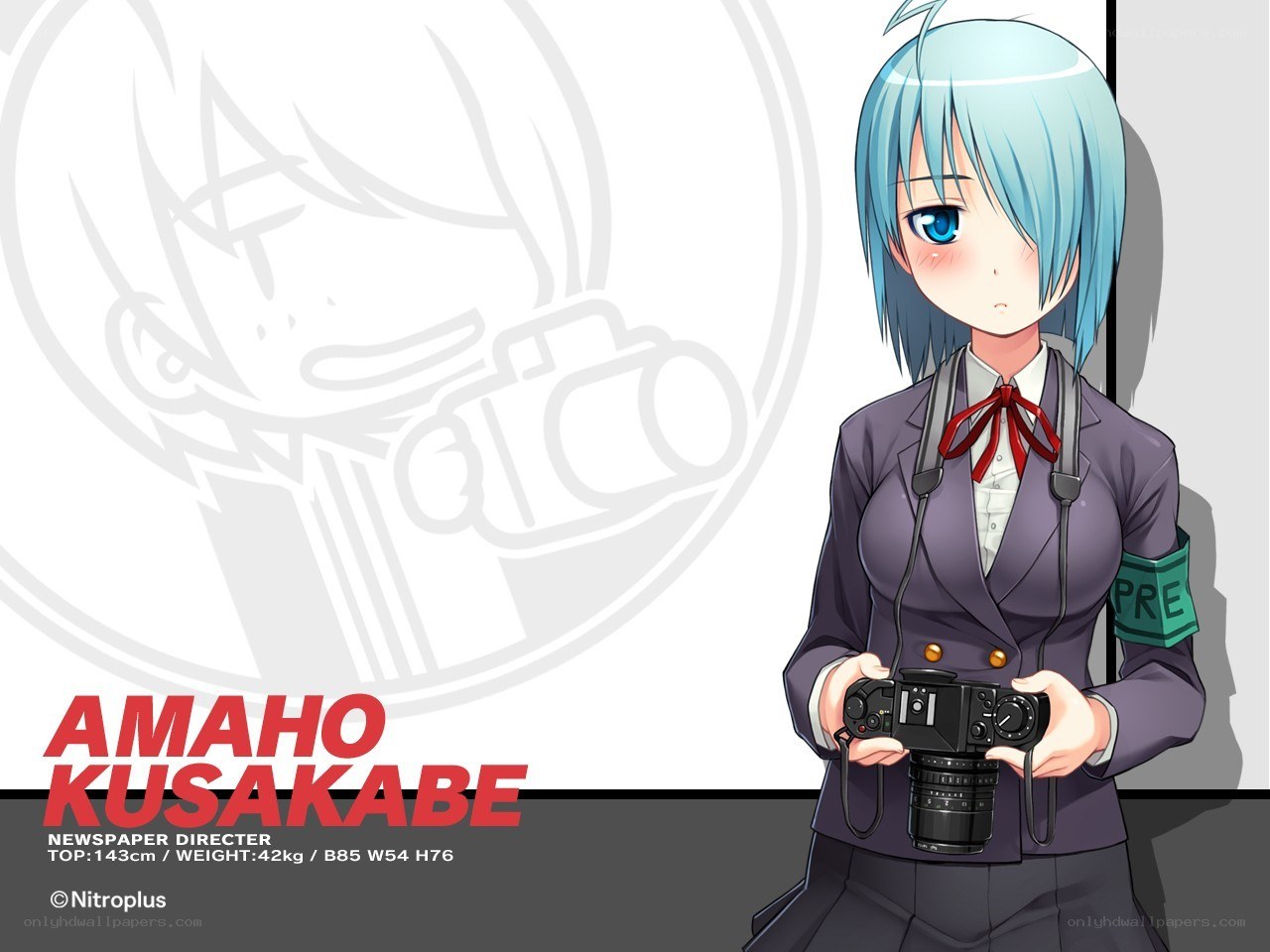 Anime girl with camera