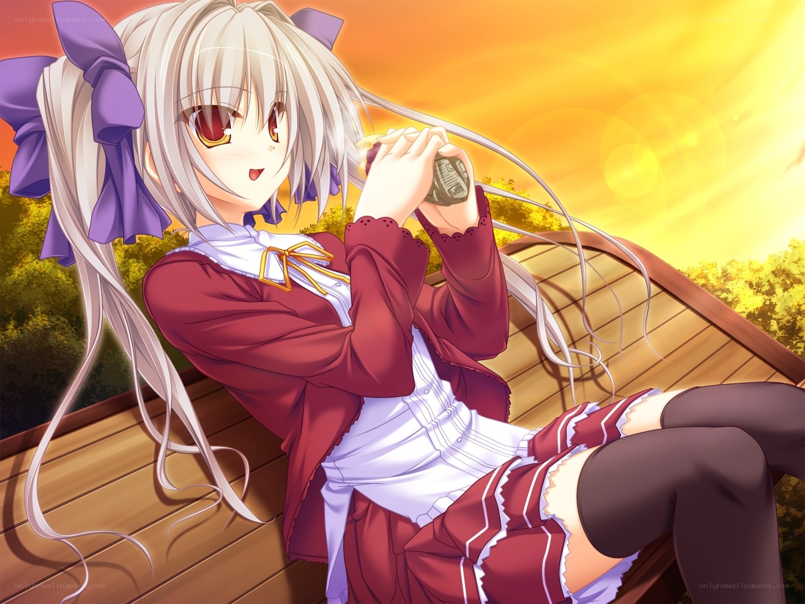 anime girl with camera