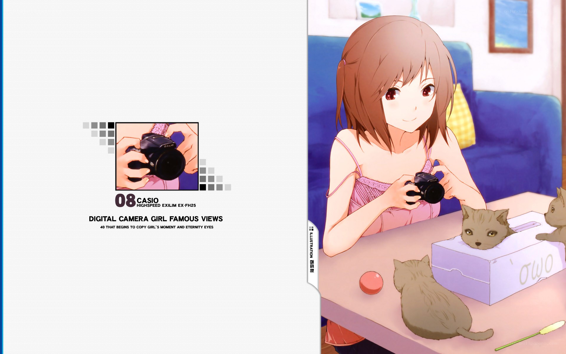 Anime girl with camera and cats