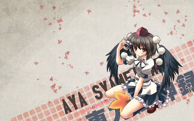 Anime Girl with Camera — Gray