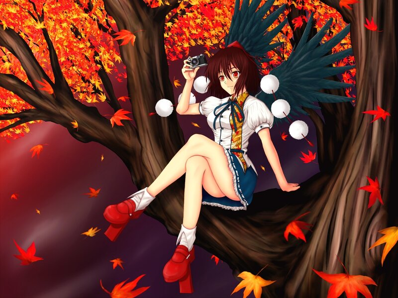 Anime girl with camera in autumn tree
