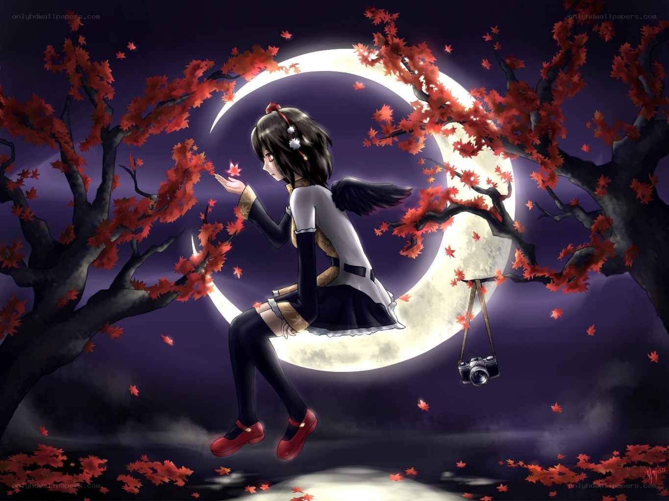 Anime girl with camera under moon