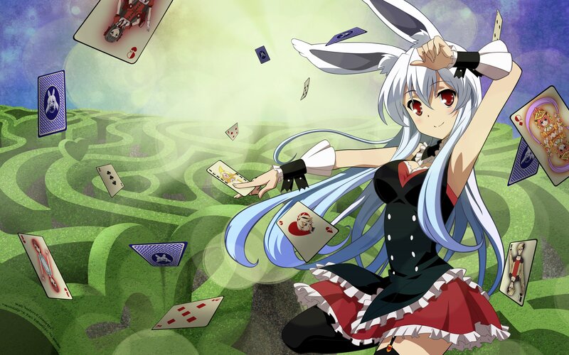 anime girl with cards in a maze