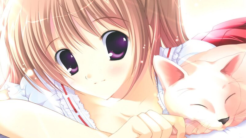 anime girl with cat