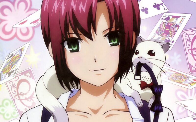 anime girl with cat and cards