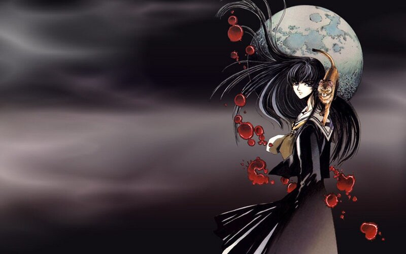 anime girl with cat and moon